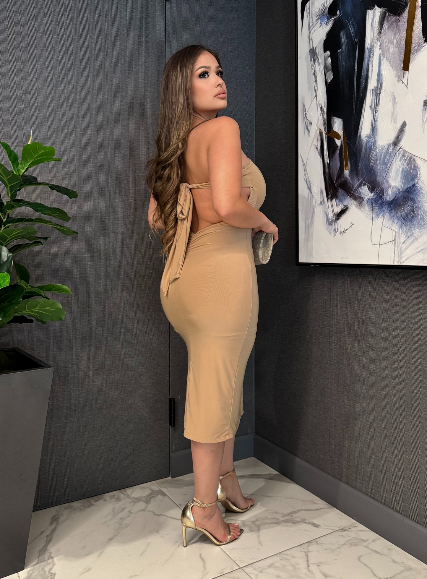 🎀Anaya dress