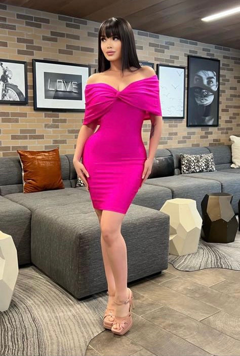 Vestido de Karina