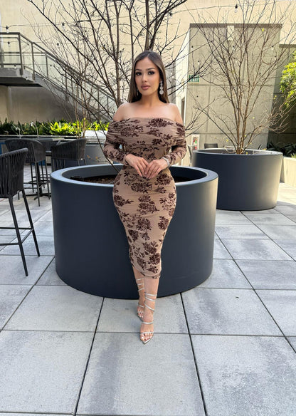 🎀ruby mesh dress