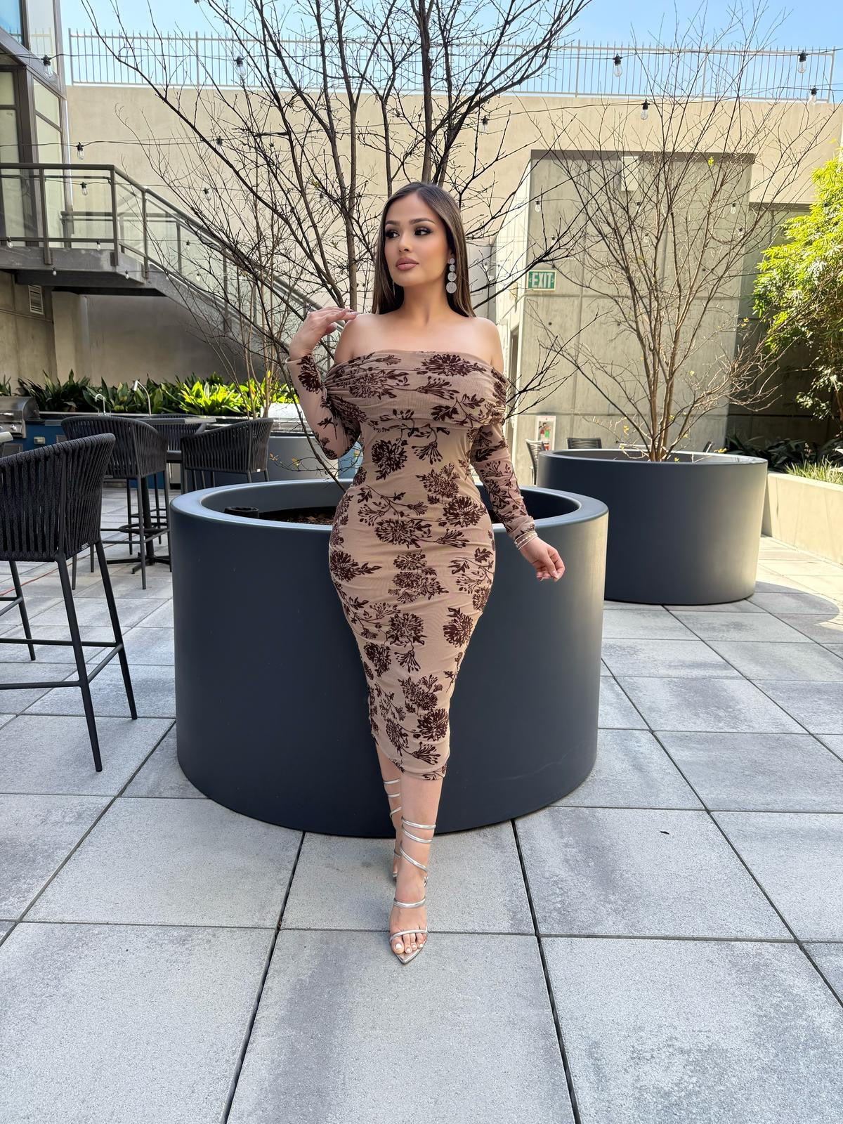 🎀ruby mesh dress