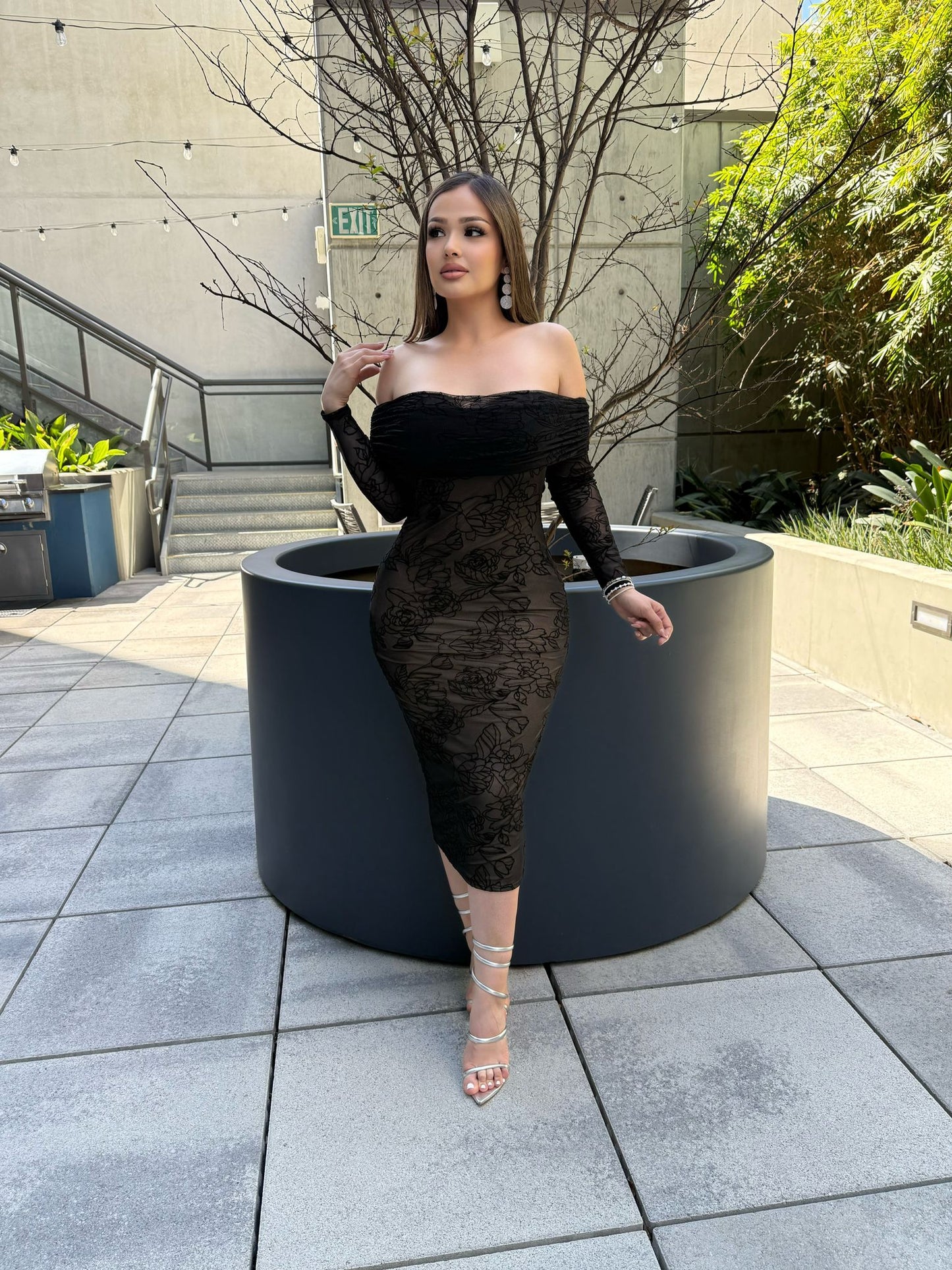 ruby mesh dress